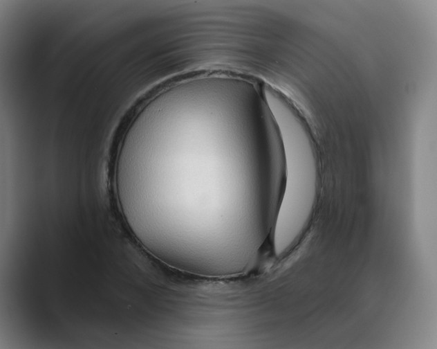 X0000088670880200706281919