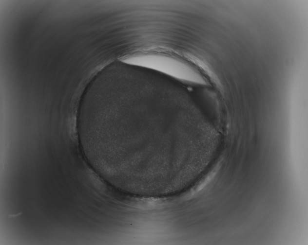 X0000088670881200706281919