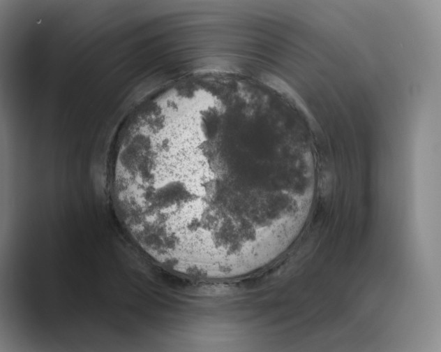 X0000088670882200706281919