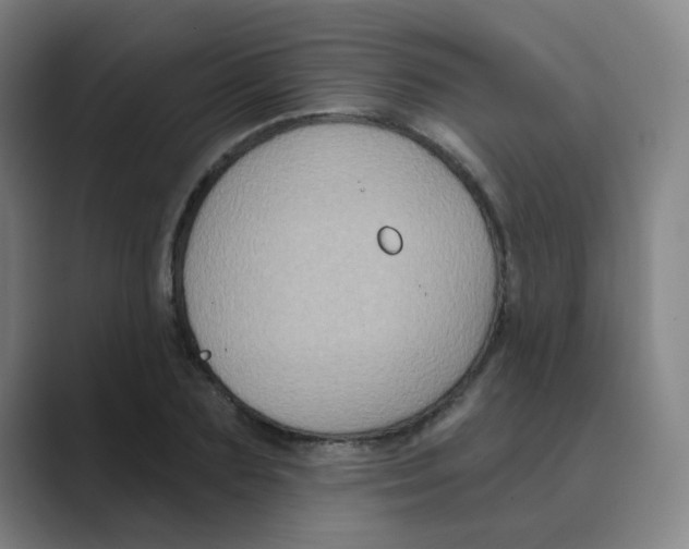 X0000088670883200706281919
