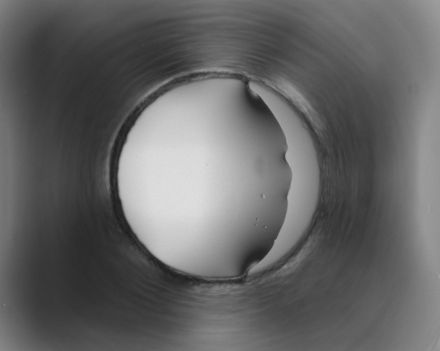X0000088670884200706281919