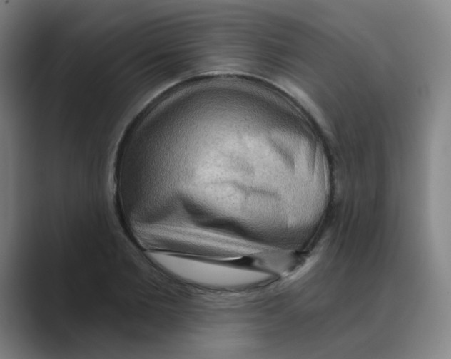 X0000088670885200706281919