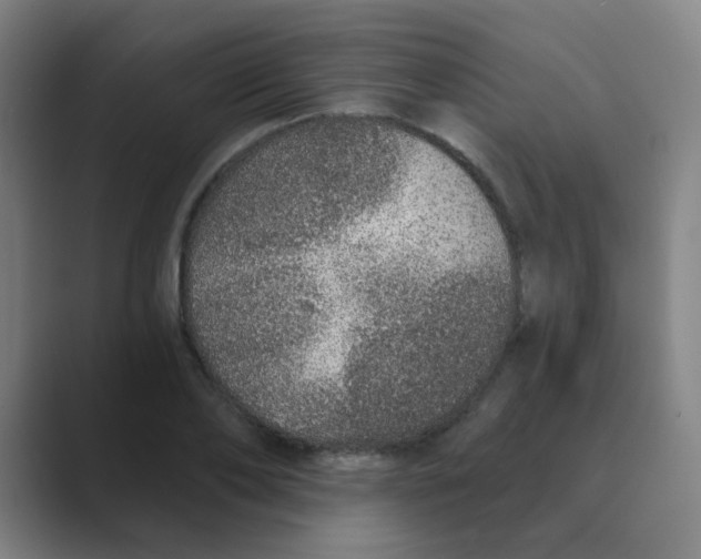 X0000088670886200706281919
