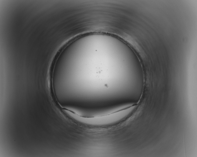 X0000088670888200706281919