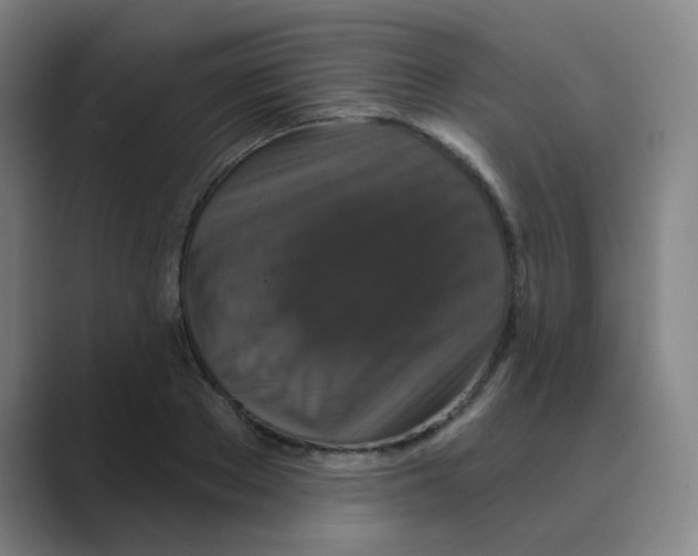 X0000088670889200706281919