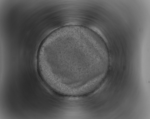 X0000088670890200706281919
