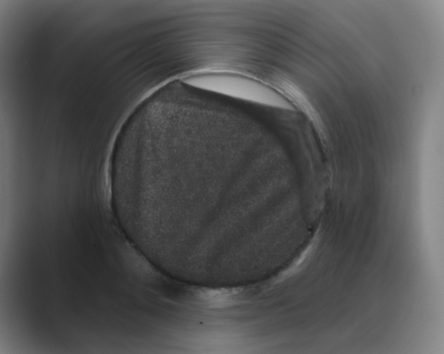 X0000088670892200706281919