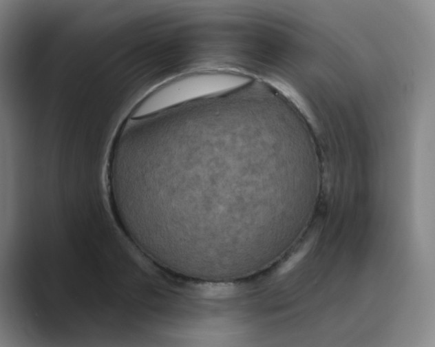 X0000088670893200706281919