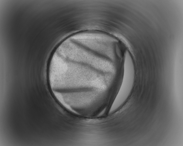 X0000088670894200706281919