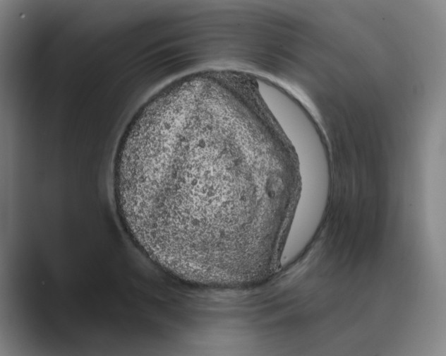X0000088670895200706281919