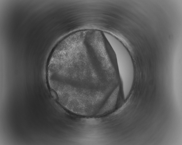 X0000088670896200706281919