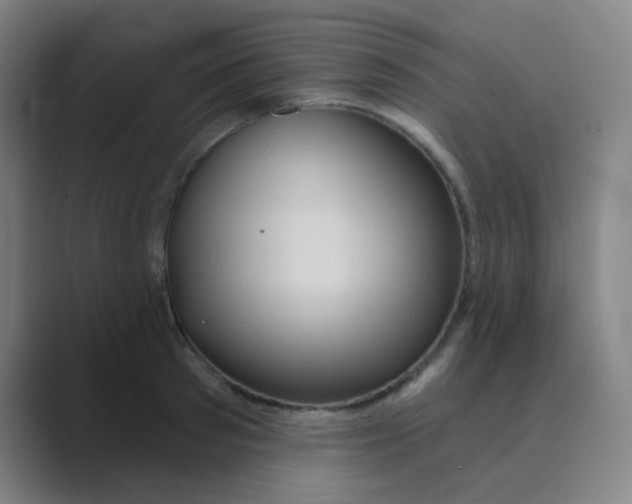 X0000088670897200706281919