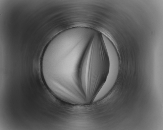 X0000088670898200706281919
