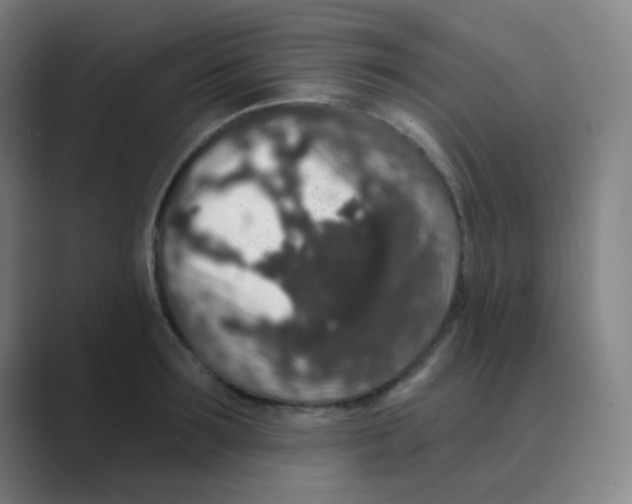 X0000088670899200706281919