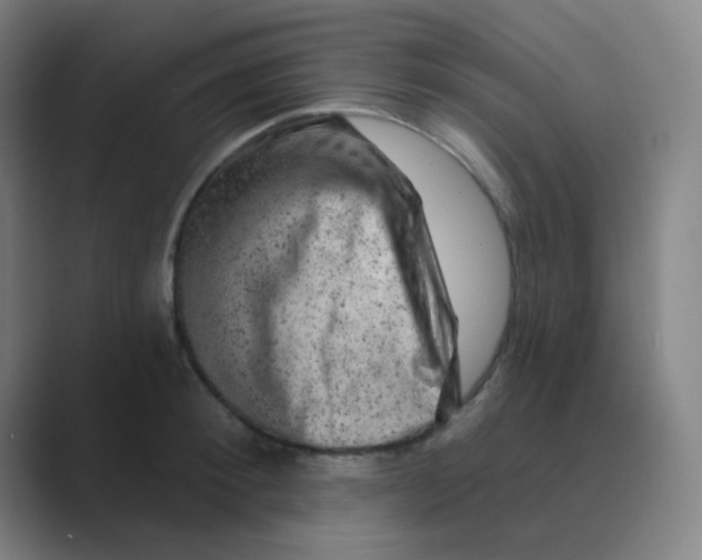 X0000088670900200706281919