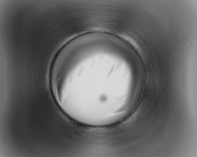 X0000088670902200706281919