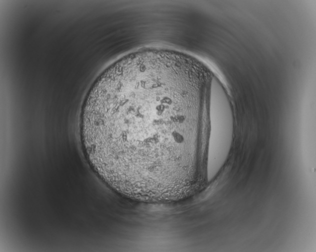 X0000088670903200706281919