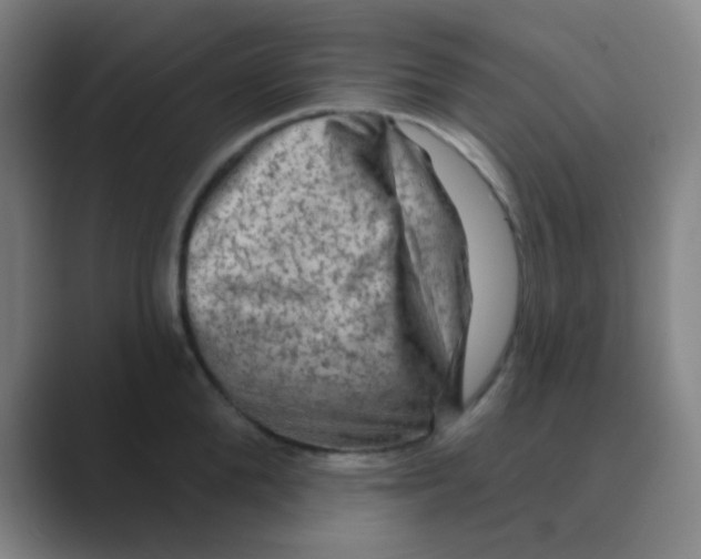 X0000088670904200706281919