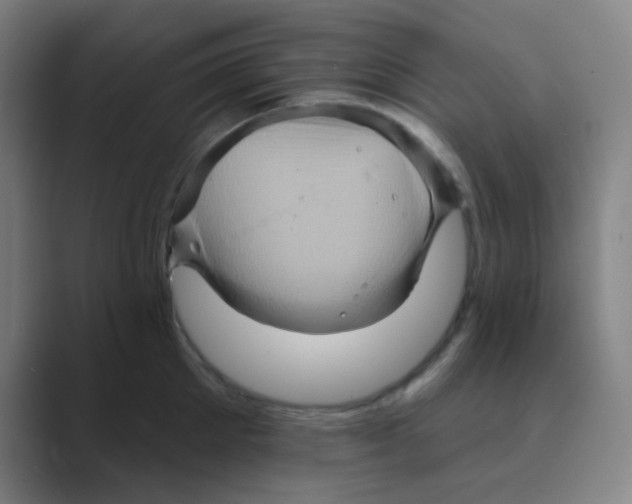 X0000088670905200706281919