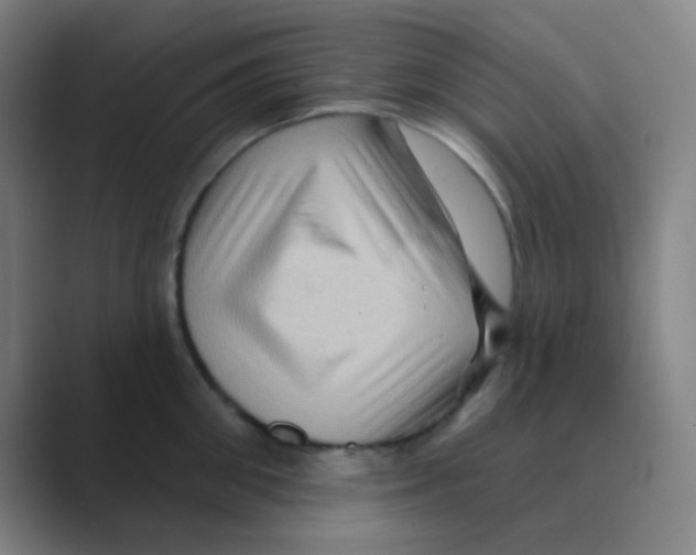 X0000088670906200706281919