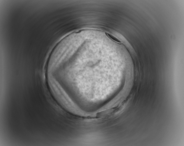 X0000088670908200706281919