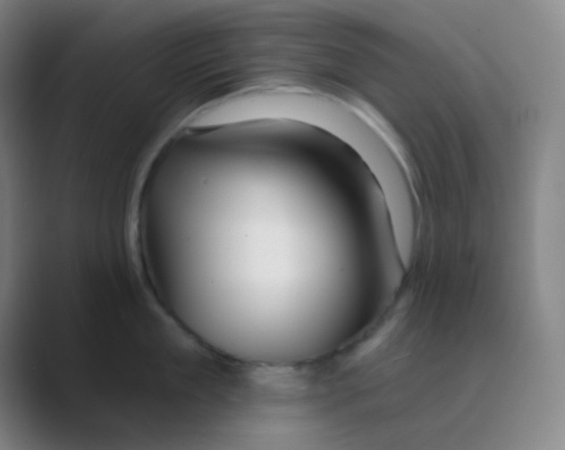 X0000088670909200706281919
