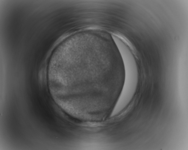 X0000088670910200706281919
