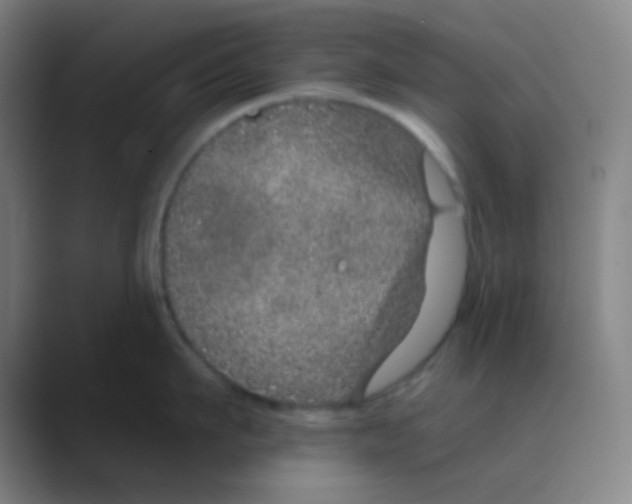 X0000088670911200706281919