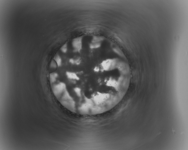 X0000088670913200706281918
