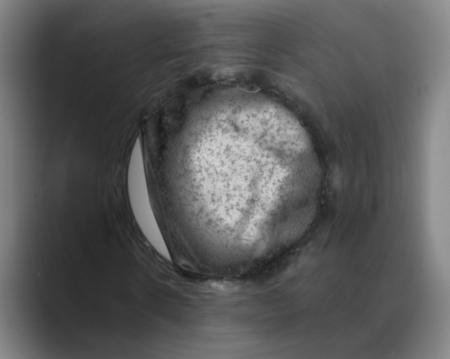 X0000088670914200706281918