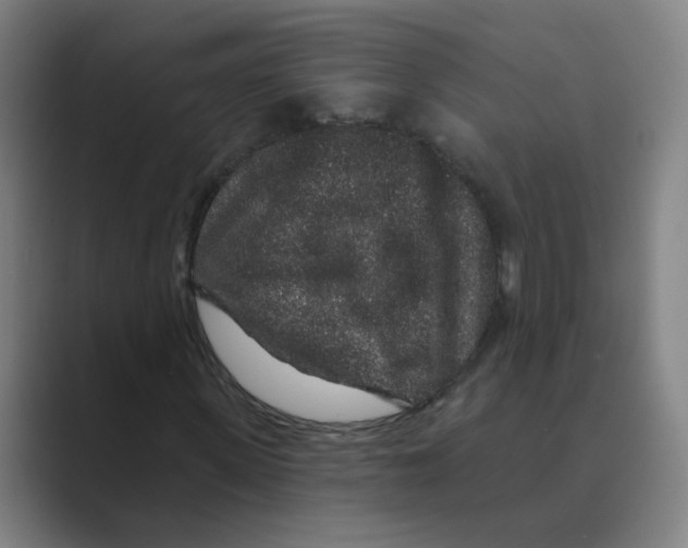 X0000088670915200706281918