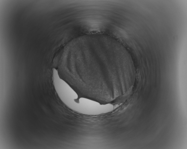 X0000088670916200706281918