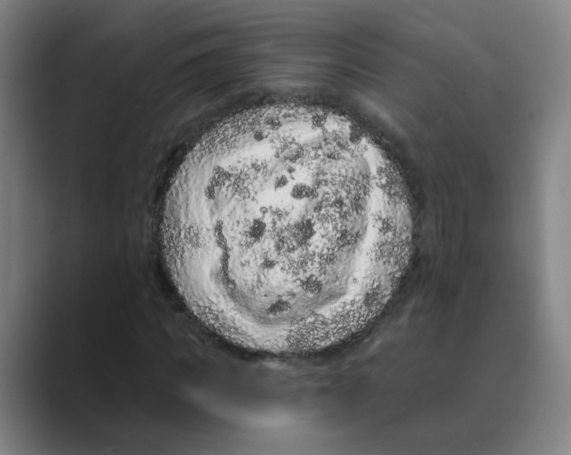 X0000088670917200706281918