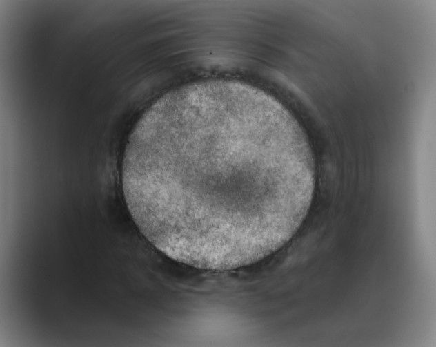 X0000088670918200706281918