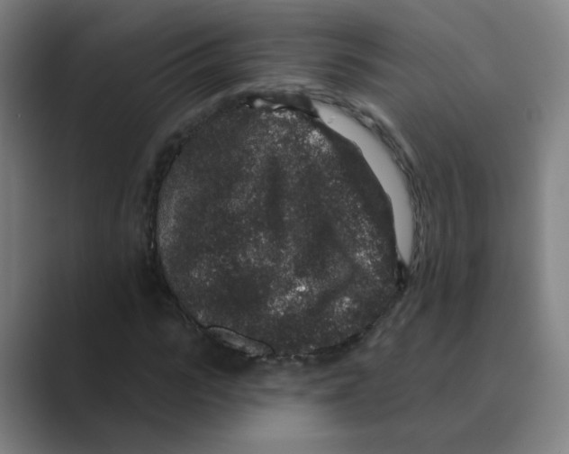 X0000088670919200706281918