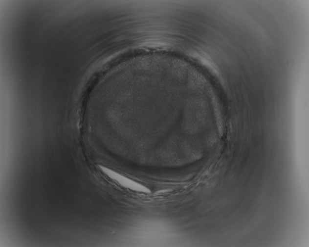 X0000088670920200706281918