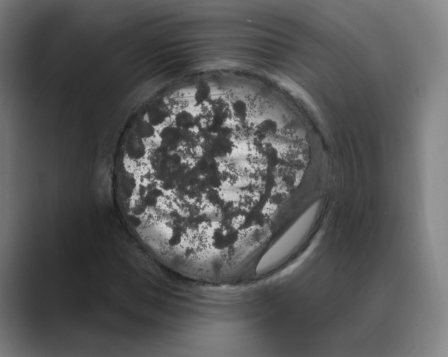 X0000088670921200706281918