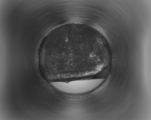 X0000088670923200706281918