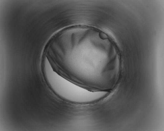 X0000088670924200706281918
