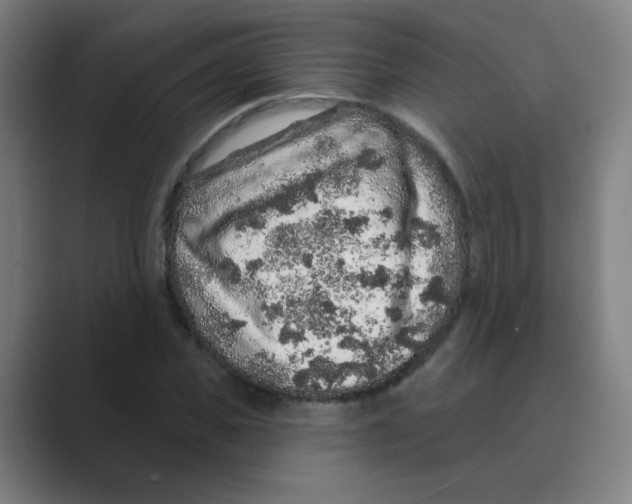 X0000088670925200706281918