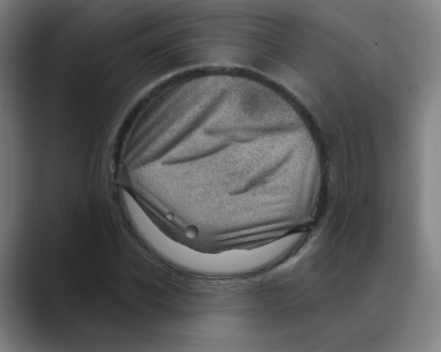 X0000088670926200706281918