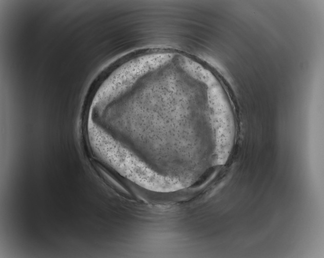 X0000088670928200706281918