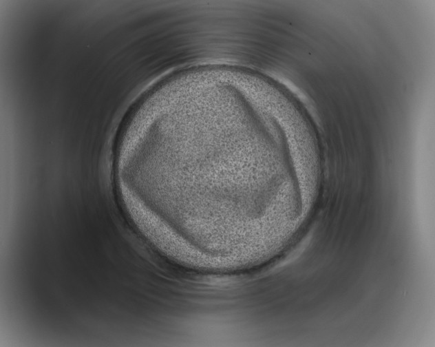 X0000088670933200706281919