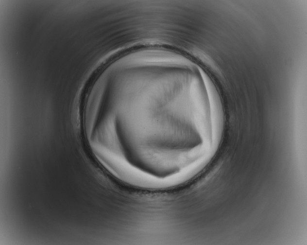 X0000088670934200706281919