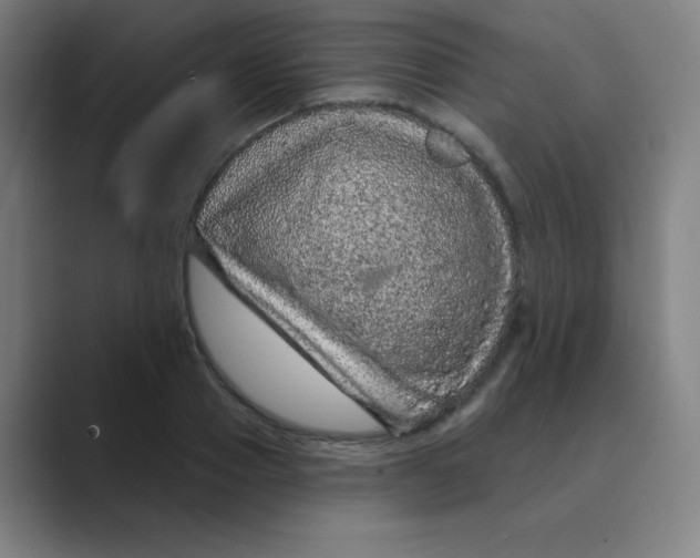 X0000088670937200706281919