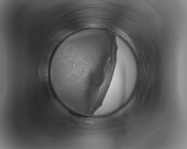 X0000088670938200706281919