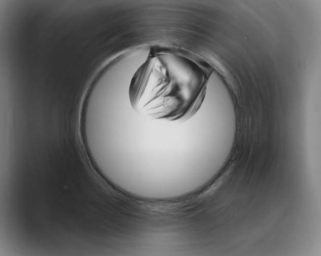 X0000088670940200706281919