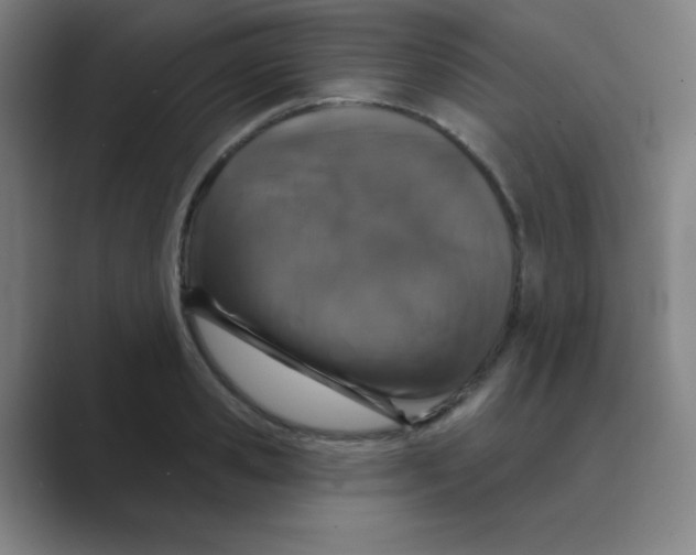 X0000088670941200706281919