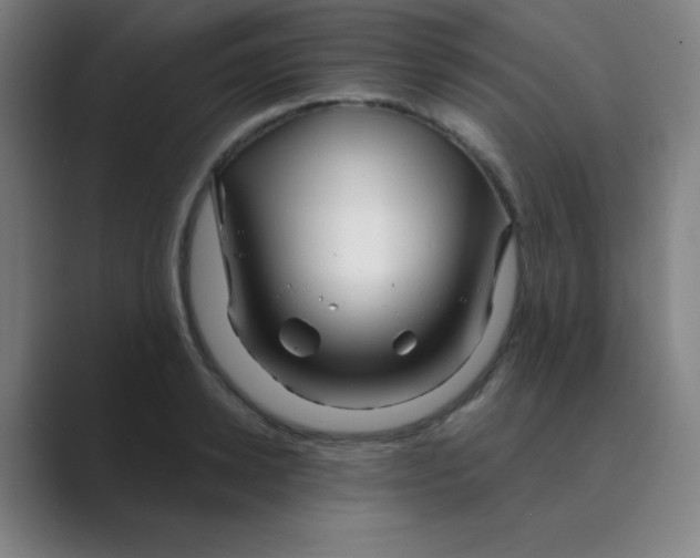 X0000088670942200706281919