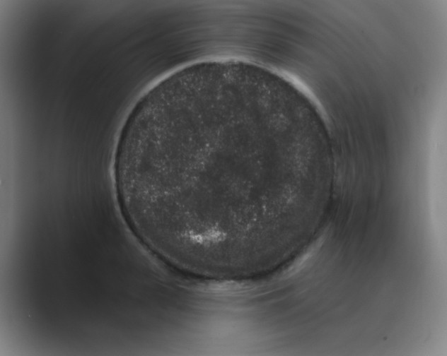 X0000088670943200706281919